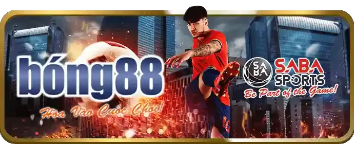Hình ảnh mạng lưới hỗ trợ cờ bạc
